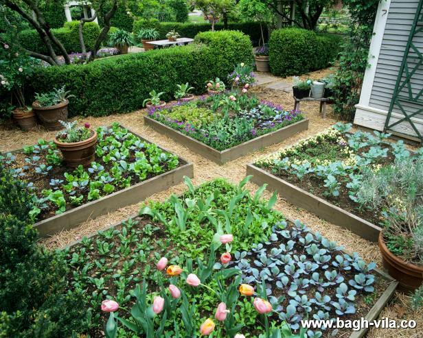 باغبانی و باغداری